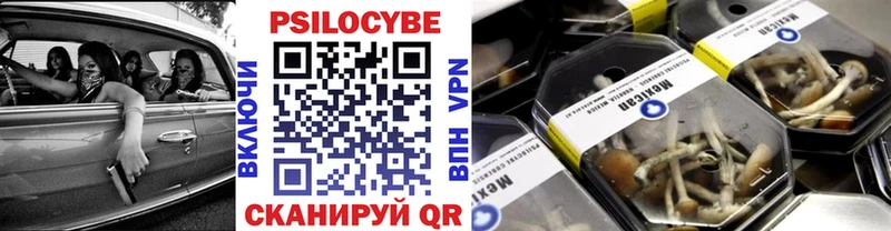 маркетплейс какой сайт  Александровск-Сахалинский  Галлюциногенные грибы ЛСД  купить наркотик 