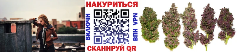 цена   Александровск-Сахалинский  Бошки Шишки THC 21% 